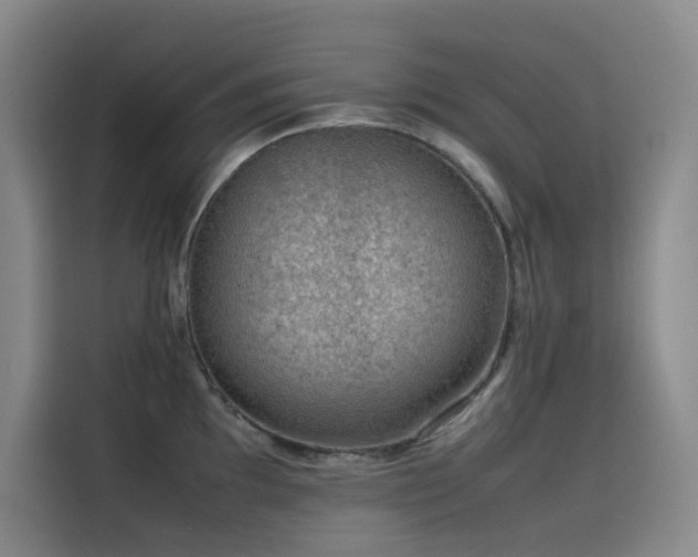 X0000116101097200911231120