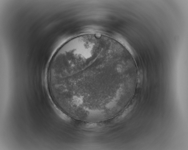 X0000116101098200911231120
