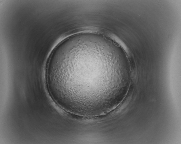 X0000116101099200911231120