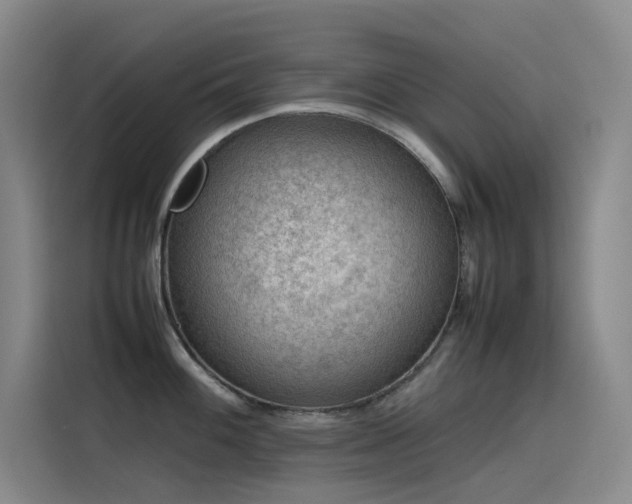 X0000116101100200911231120