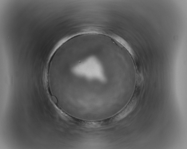 X0000116101101200911231120