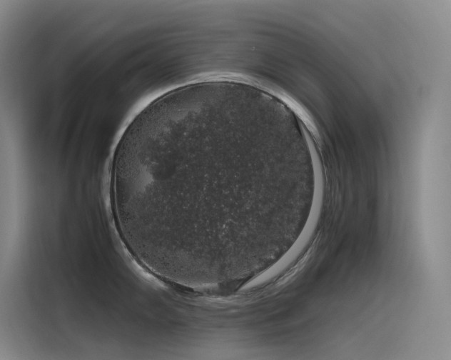 X0000116101102200911231120