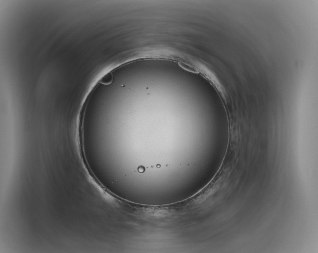 X0000116101103200911231120