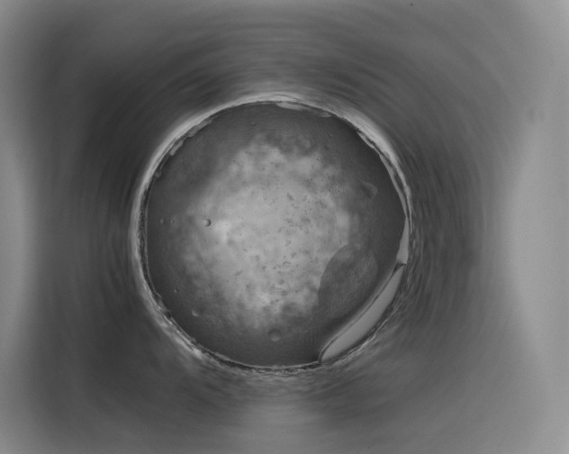 X0000116101104200911231120