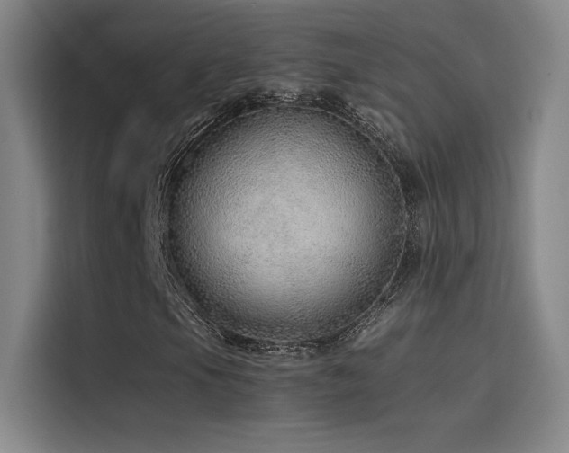 X0000116101105200911231120