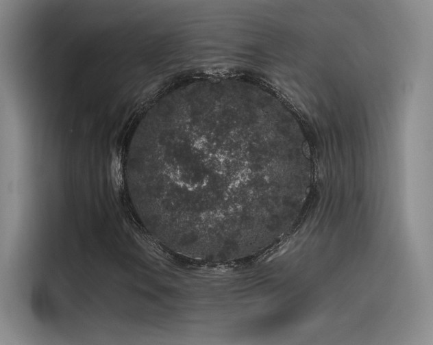 X0000116101106200911231120