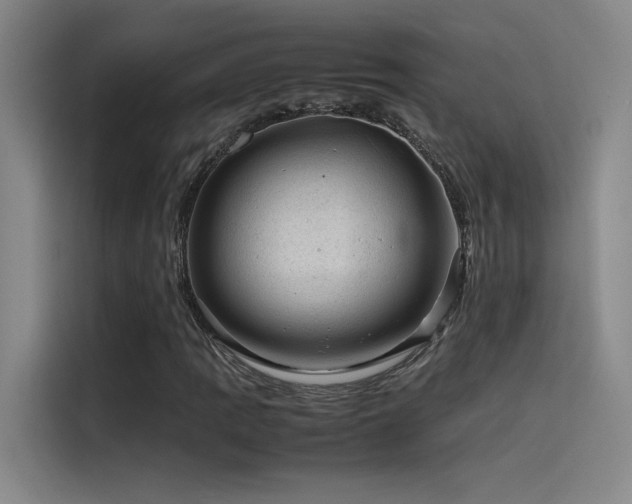 X0000116101109200911231120
