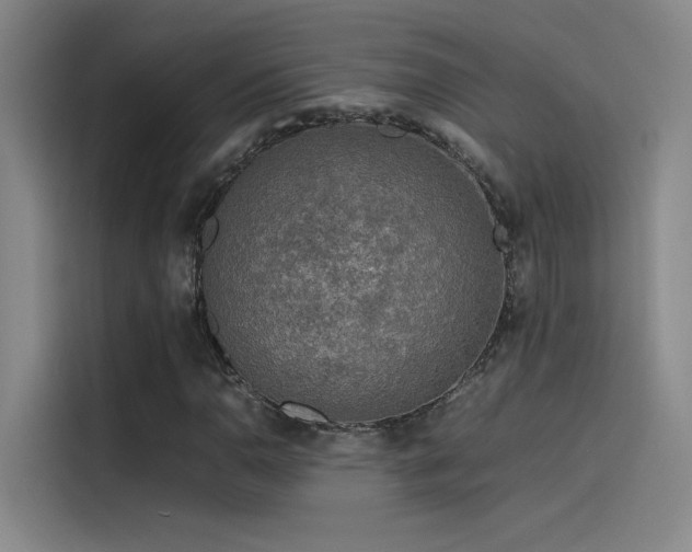 X0000116101110200911231120