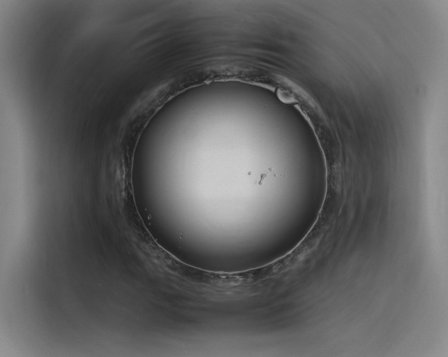 X0000116101111200911231120