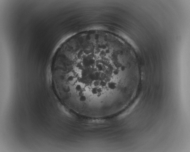 X0000116101117200911231120
