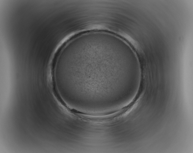 X0000116101118200911231120