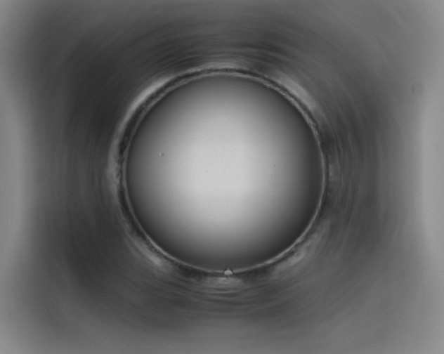 X0000116101119200911231120