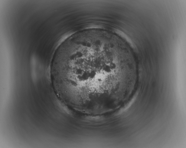 X0000116101121200911231120