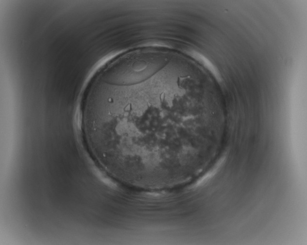 X0000116101125200911231120
