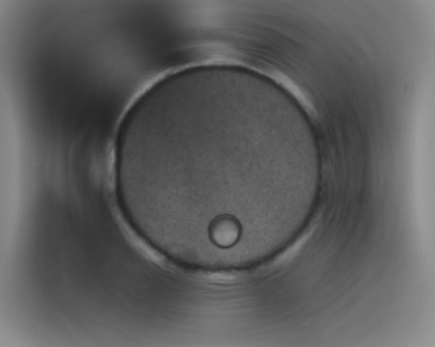 X0000116101126200911231120