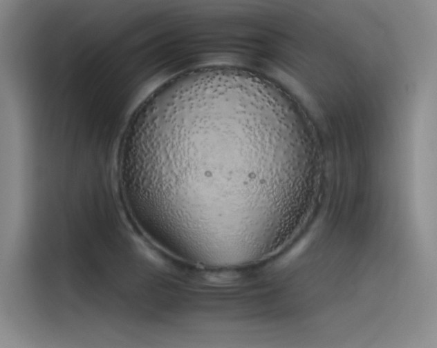 X0000116101129200911231120
