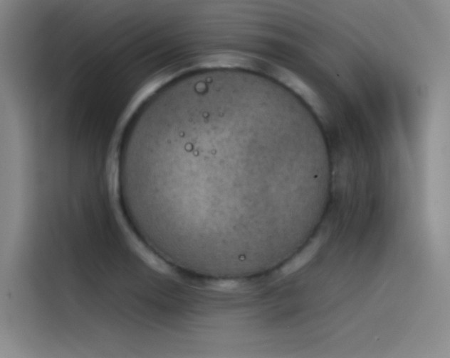 X0000116101130200911231120