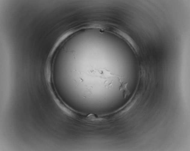 X0000116101131200911231120