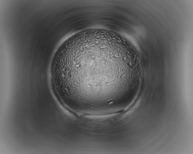 X0000116101133200911231120