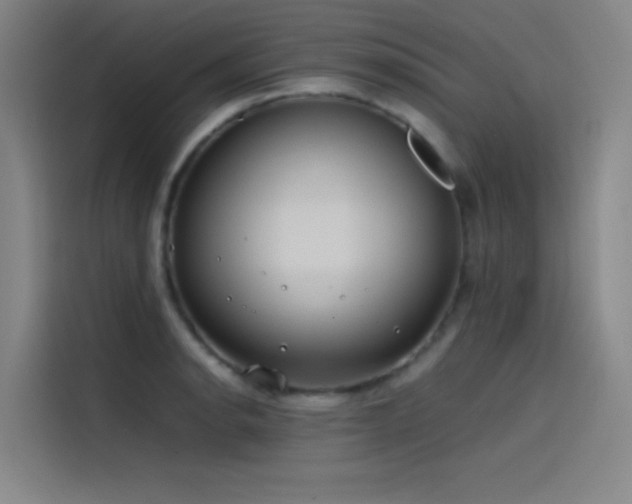 X0000116101134200911231120
