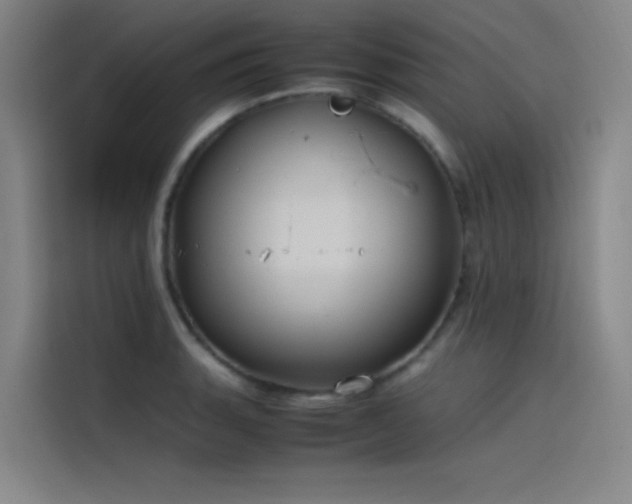 X0000116101135200911231120