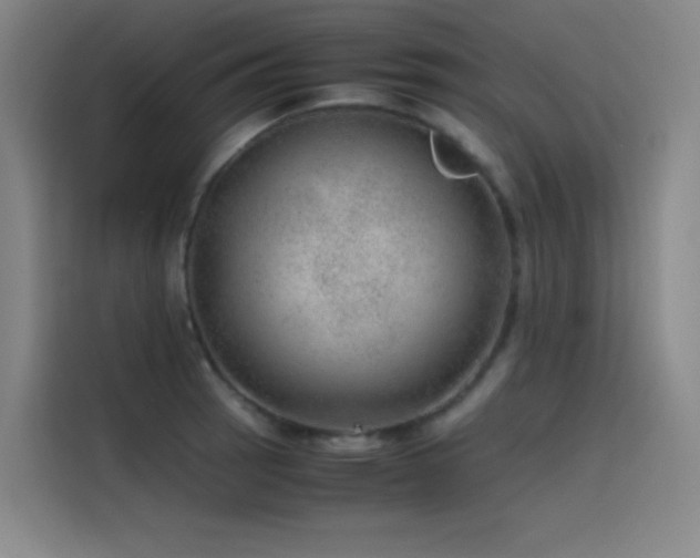 X0000116101137200911231120
