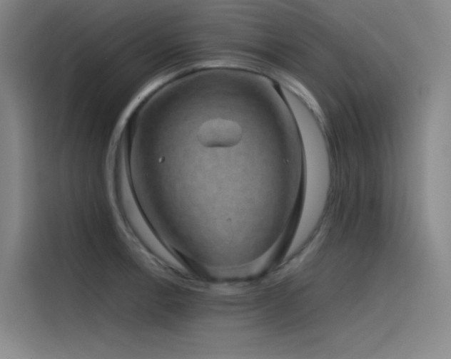 X0000116101138200911231120