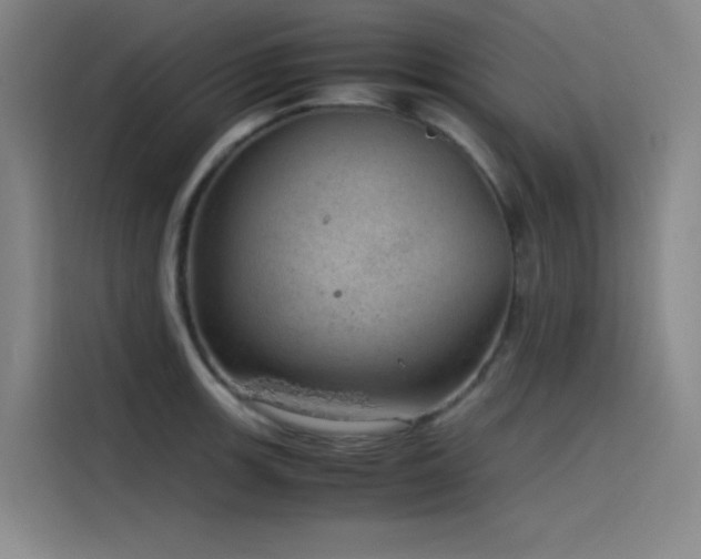 X0000116101139200911231120