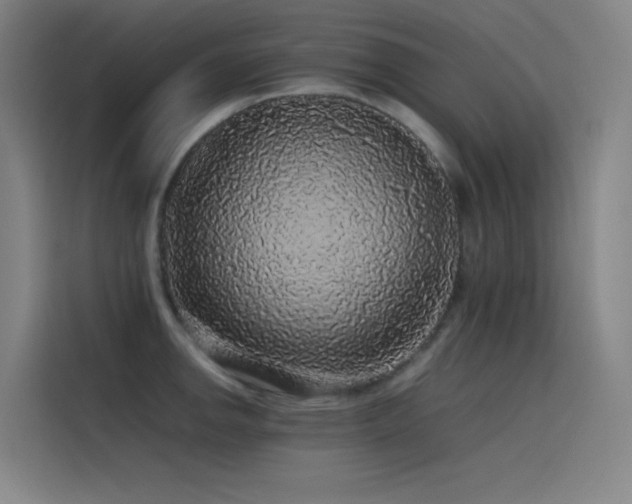 X0000116101142200911231120