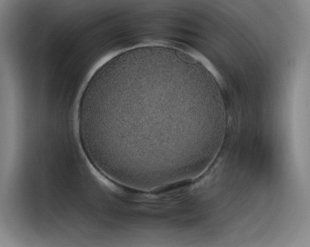 X0000116101143200911231120