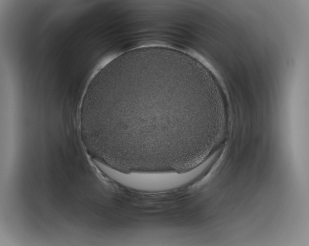 X0000116101145200911231120