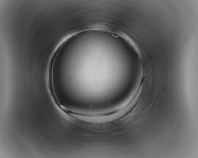 X0000116101147200911231120