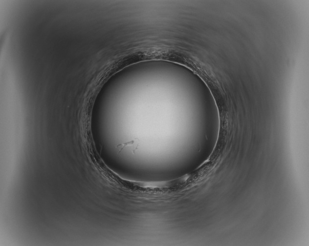X0000116101153200911231120