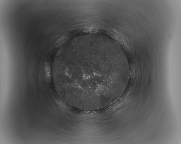 X0000116101154200911231120