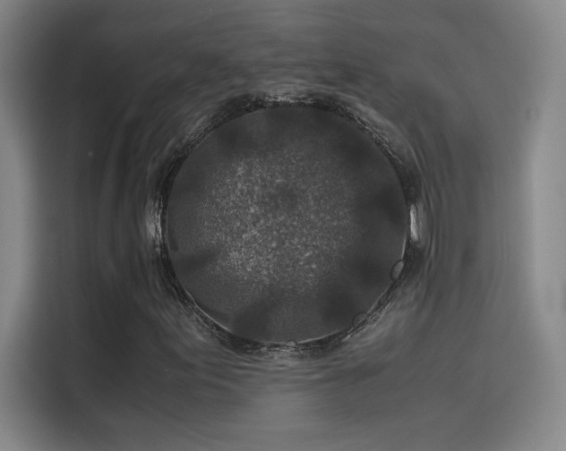 X0000116101155200911231120