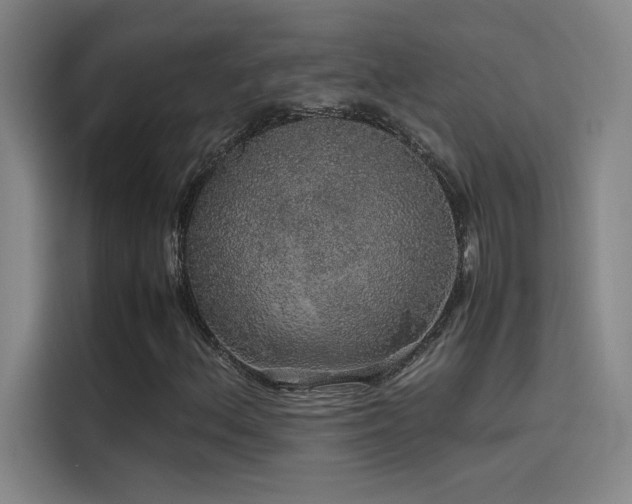 X0000116101156200911231120