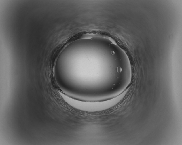 X0000116101157200911231120