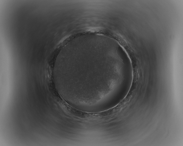X0000116101158200911231120