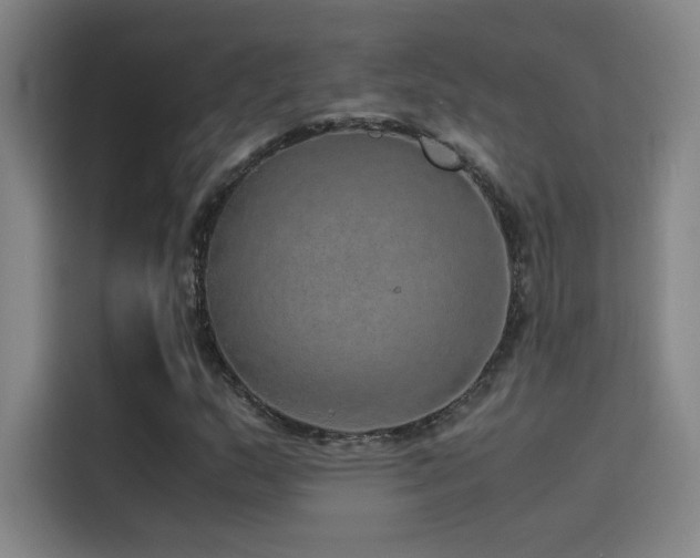 X0000116101159200911231120