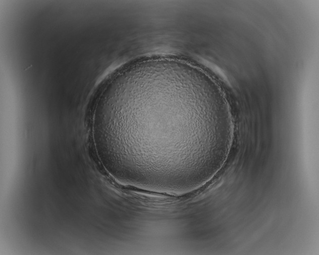 X0000116101160200911231120