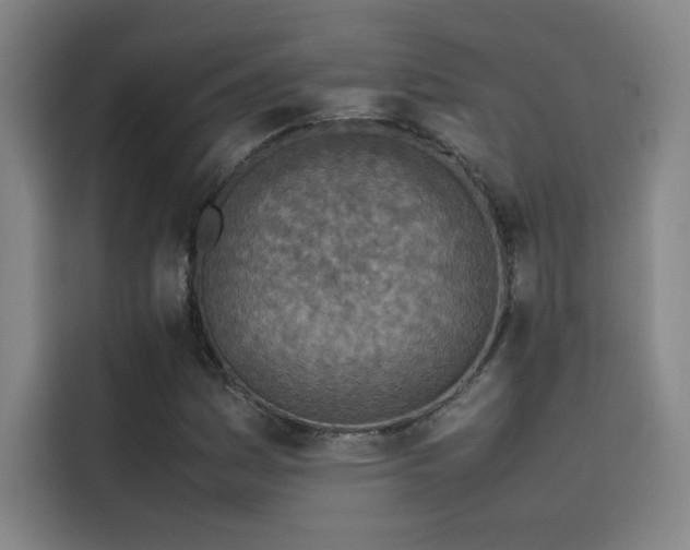 X0000116101161200911231120