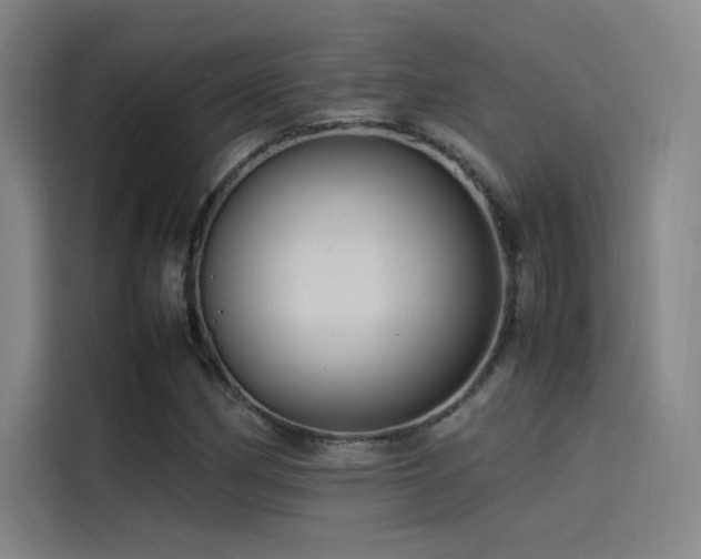 X0000116101162200911231120