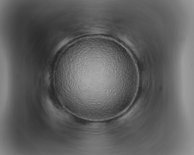 X0000116101163200911231119