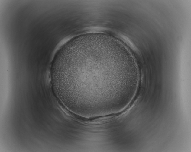 X0000116101164200911231119
