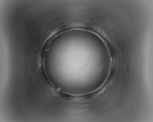 X0000116101165200911231119