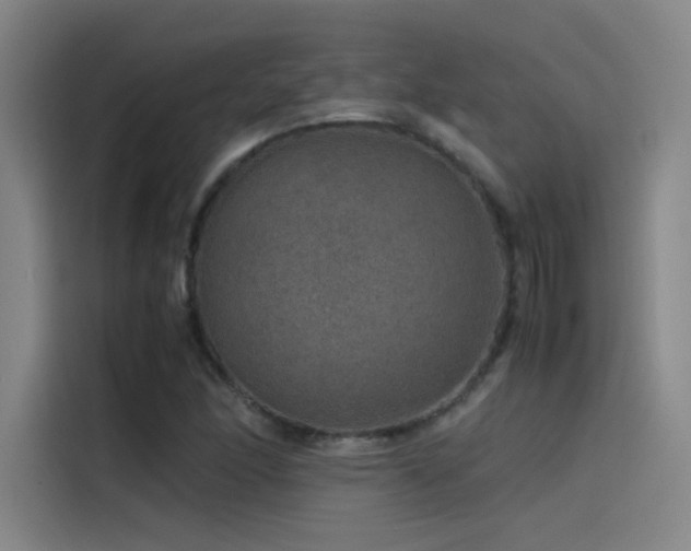 X0000116101166200911231119