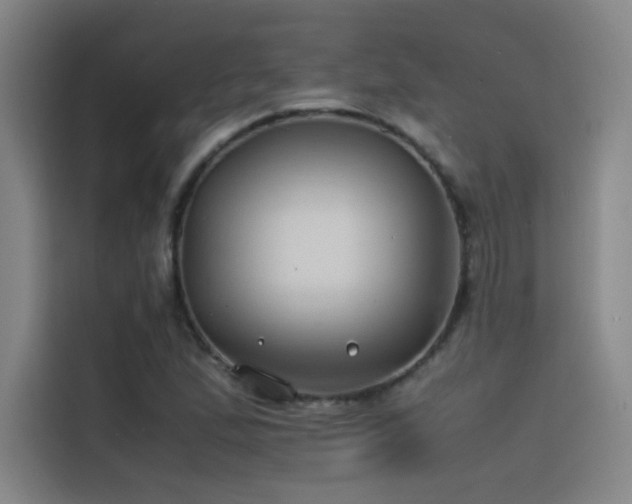 X0000116101167200911231119