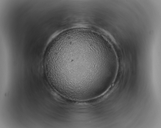 X0000116101168200911231119