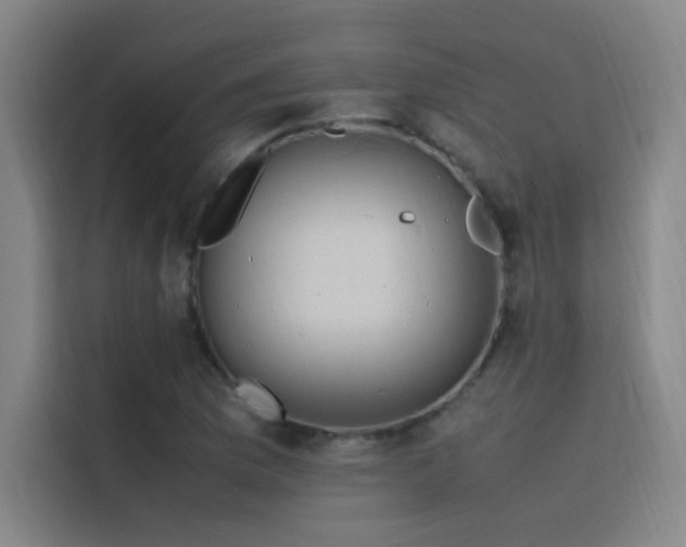 X0000116101169200911231119