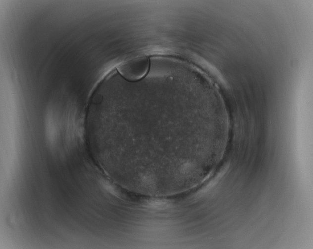X0000116101170200911231119